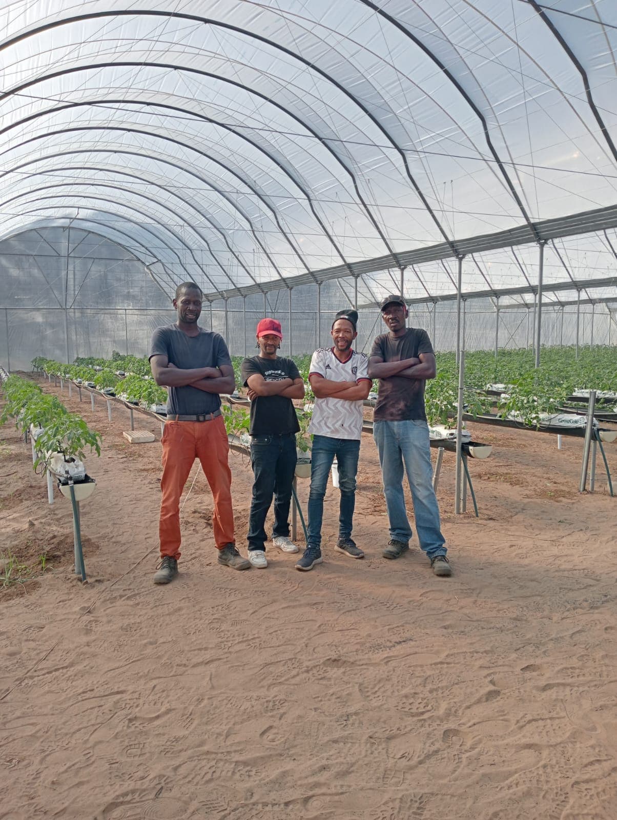 Our team working on a greenhouse project