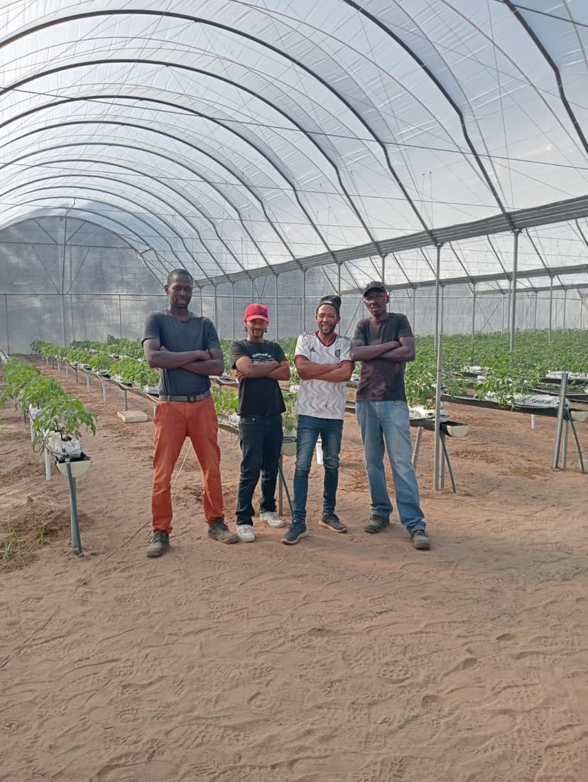 Our team working on a greenhouse project