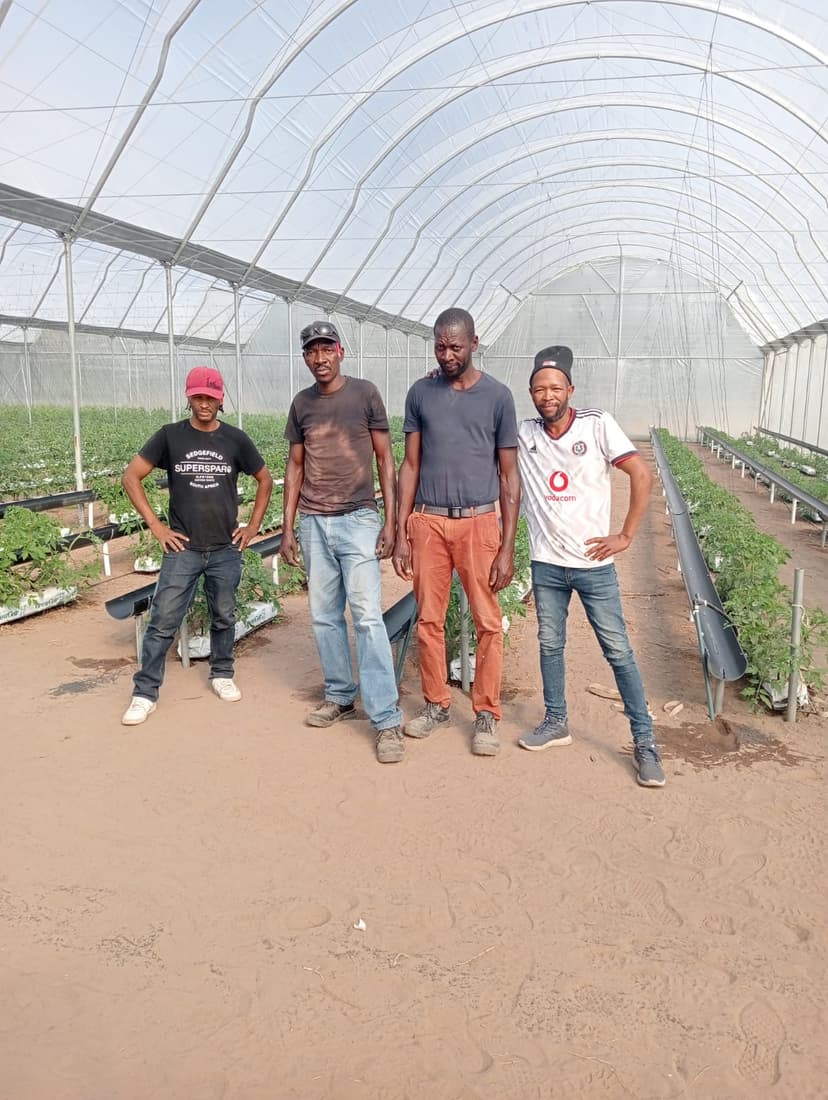 Our team working on a greenhouse project