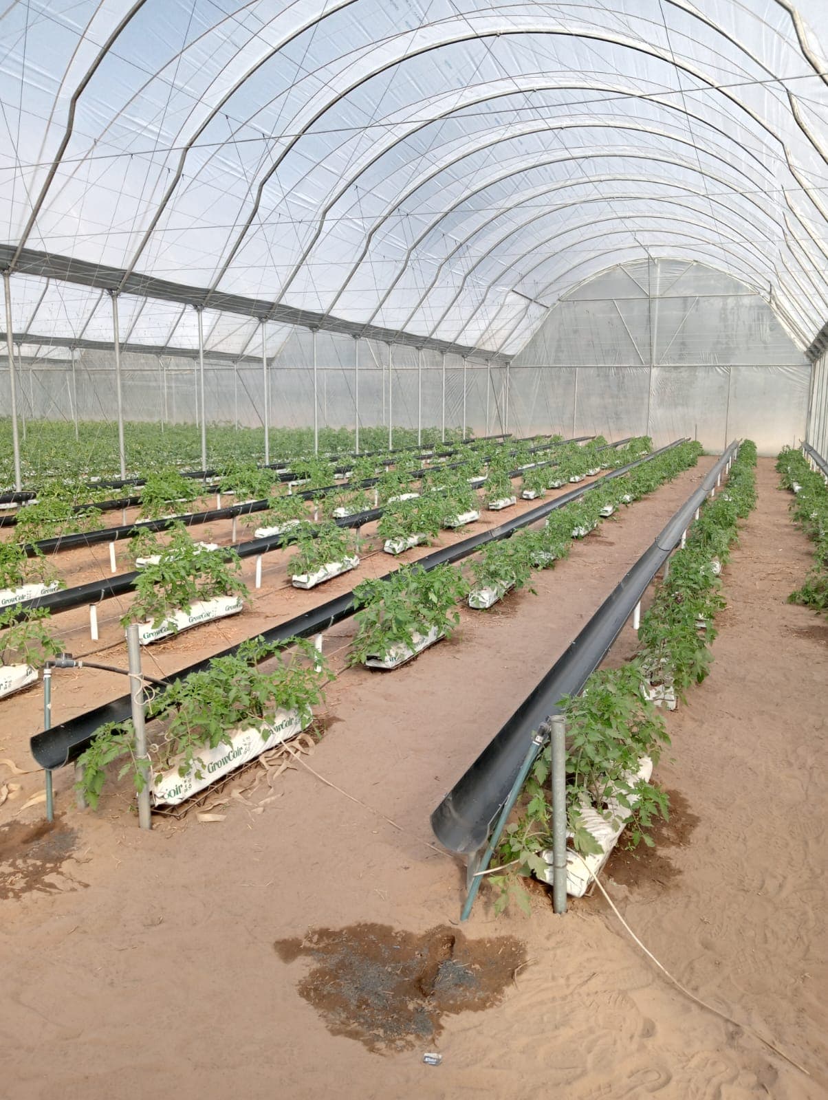 Greenhouse irrigation project