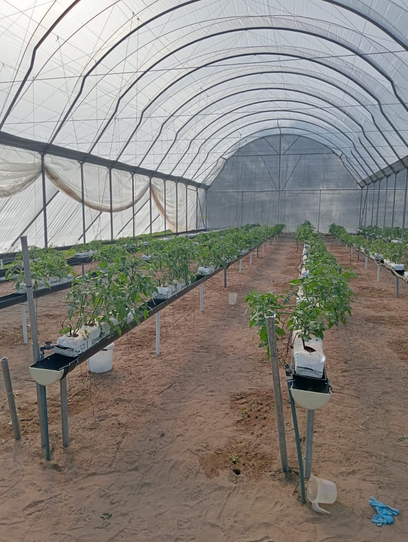 Greenhouse irrigation project