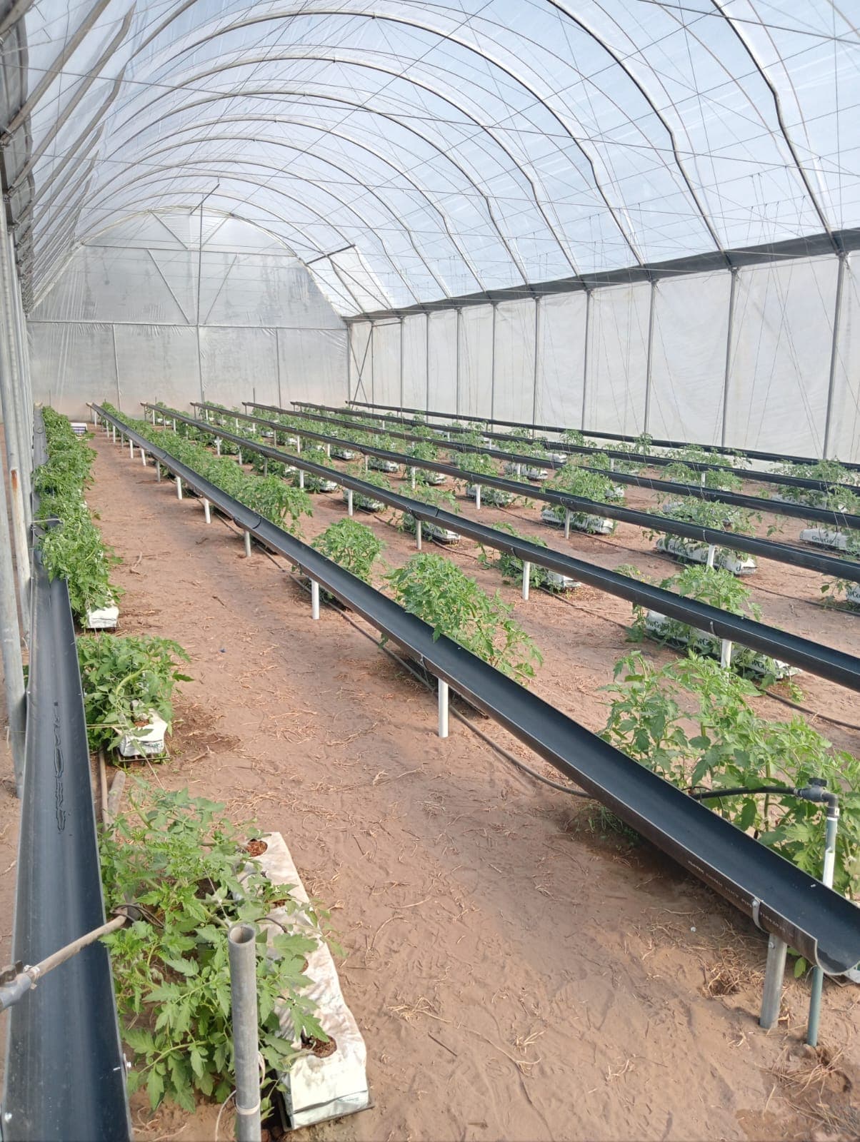 Greenhouse irrigation project